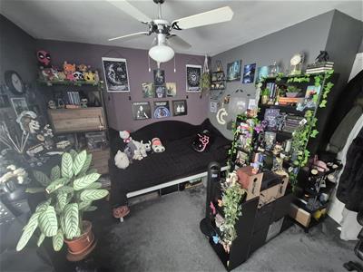 Picture 13